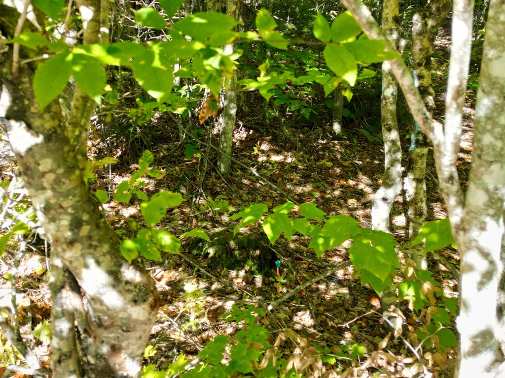 Picture 6