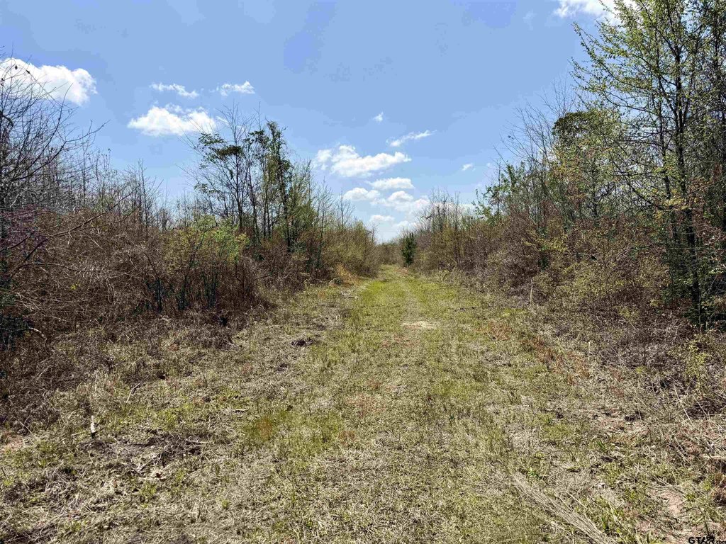 Picture 24
