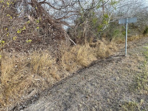 Land, Three Rivers, TX
