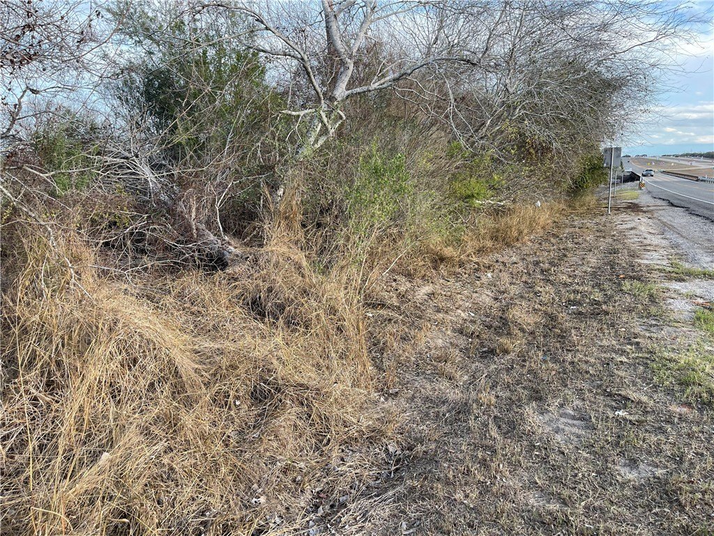Picture 3