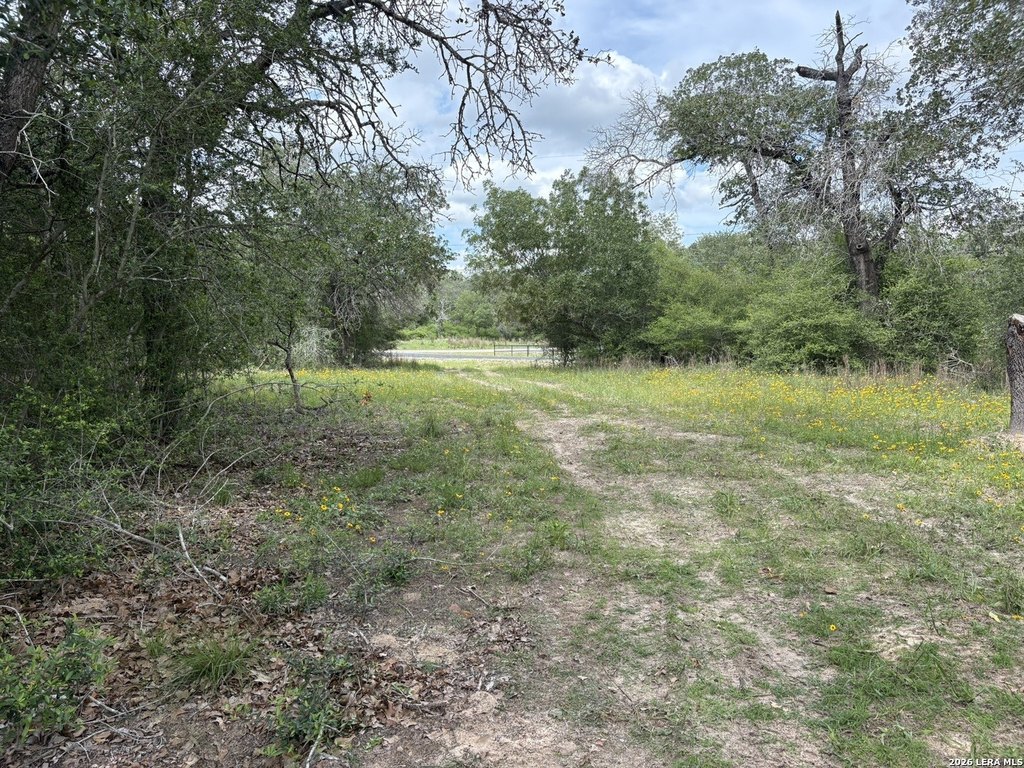 Picture 5