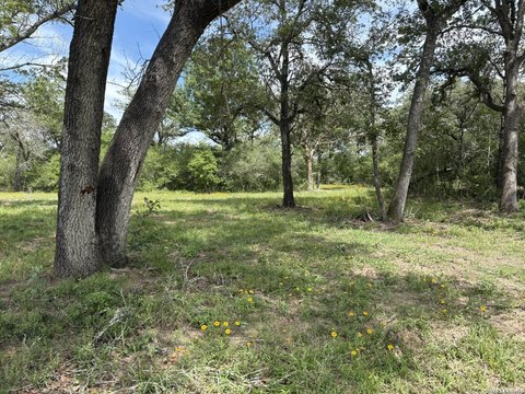 Land, Luling, TX