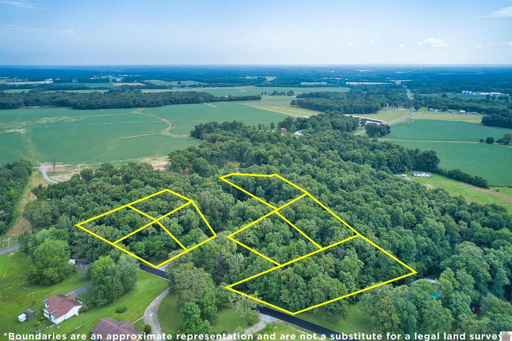 Picture 4