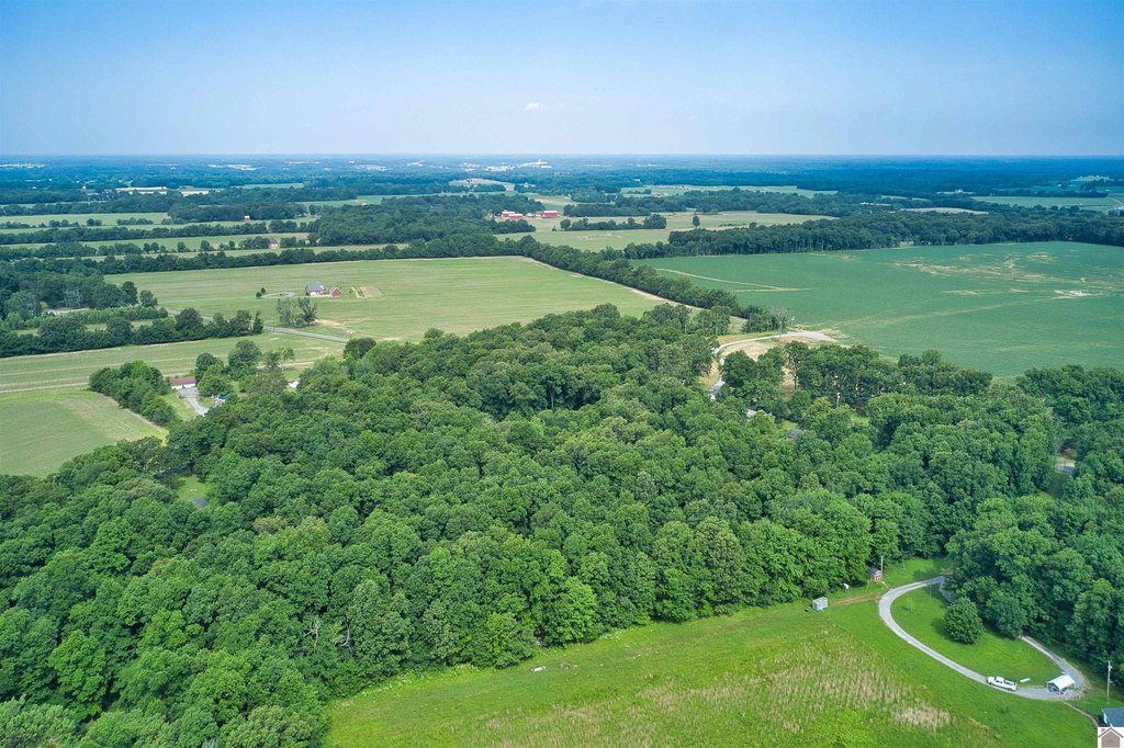 Picture 18