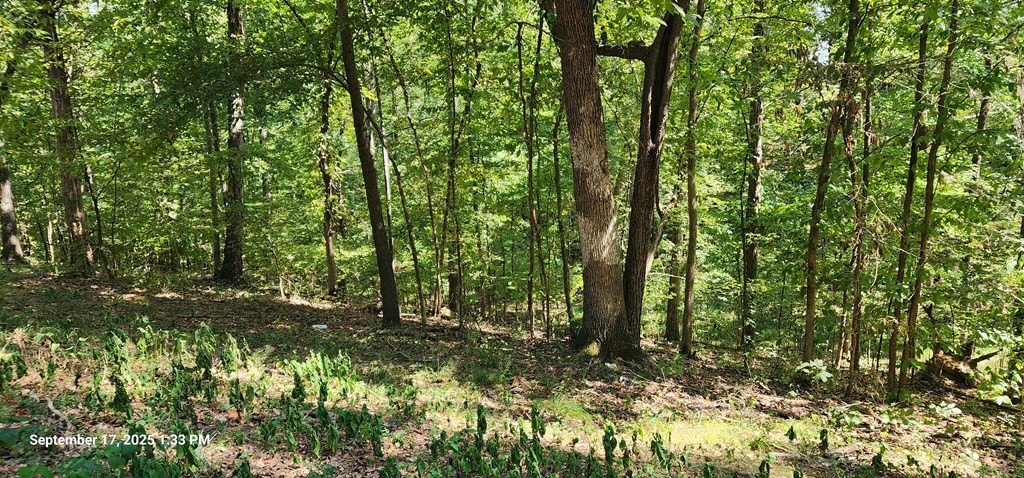 Picture 9