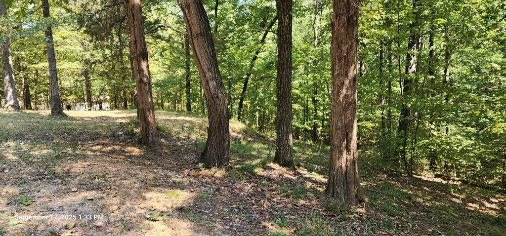 Picture 7