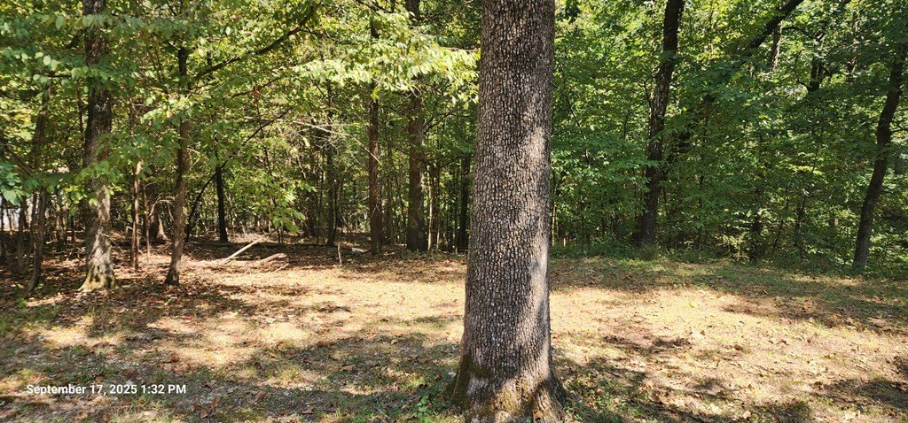 Picture 3