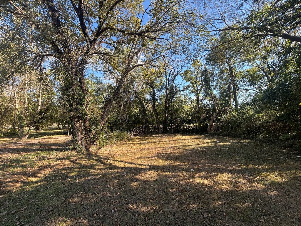 Picture 6