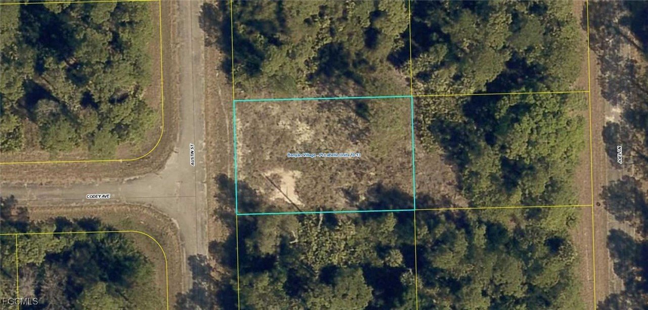 Cleared Land in Banyan Village