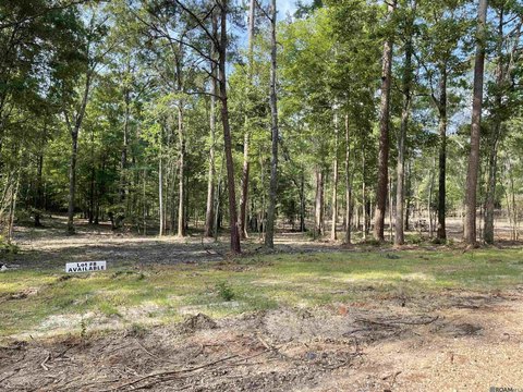 Land, Clinton, LA