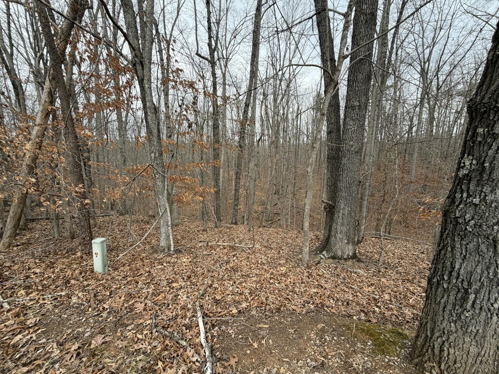 Picture 3
