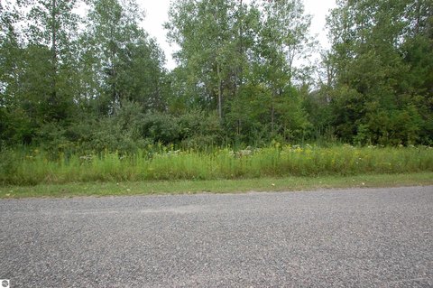 Wooded Lake-Access Residential Lot