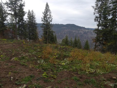 Orofino Acreage for Development/Investment