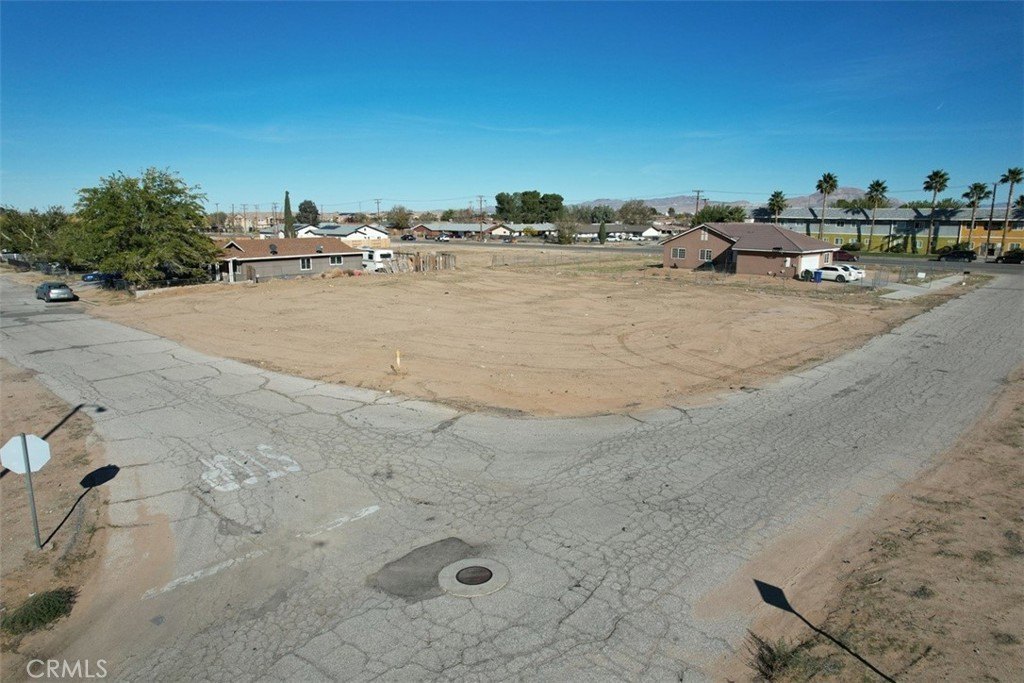 Picture 14
