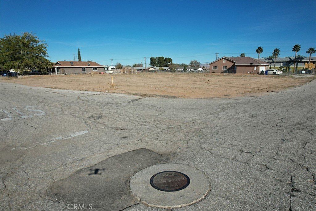 Picture 15