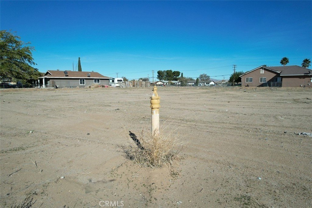 Picture 17