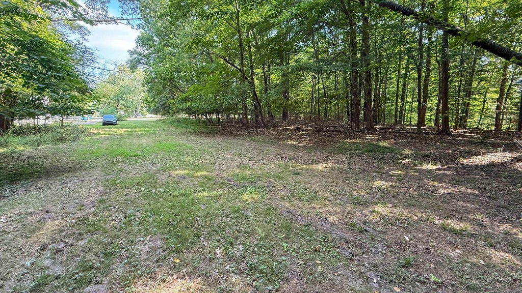 Picture 25