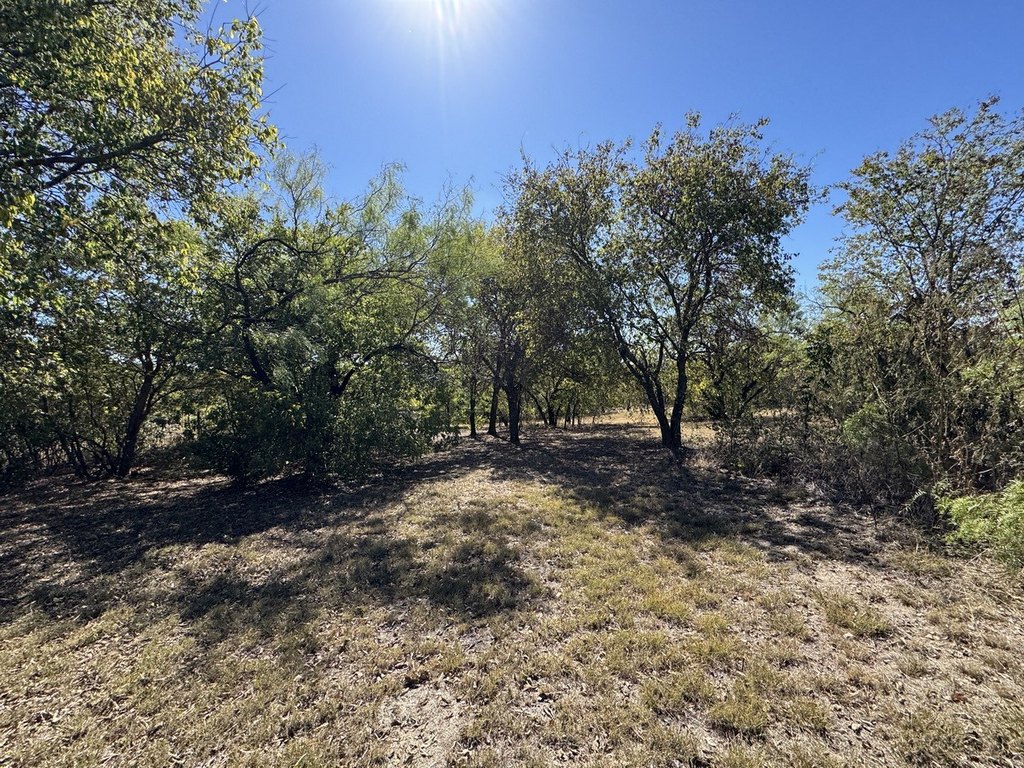 Picture 21