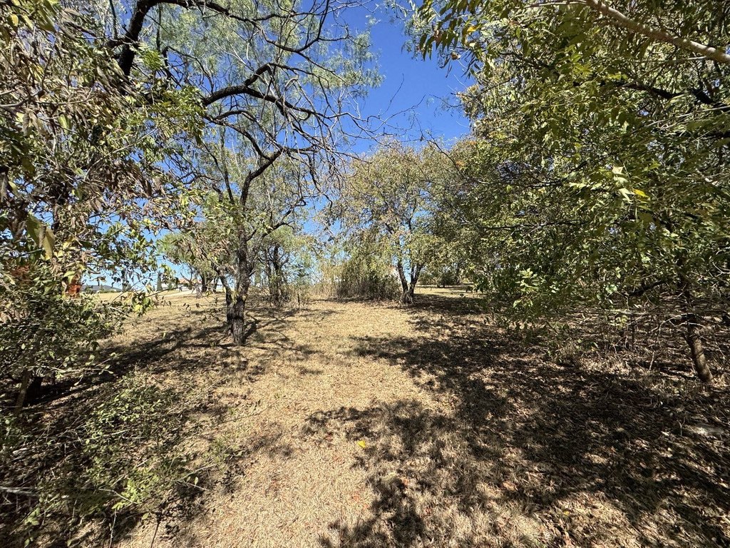 Picture 32
