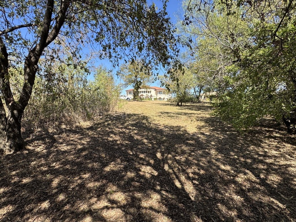 Picture 36