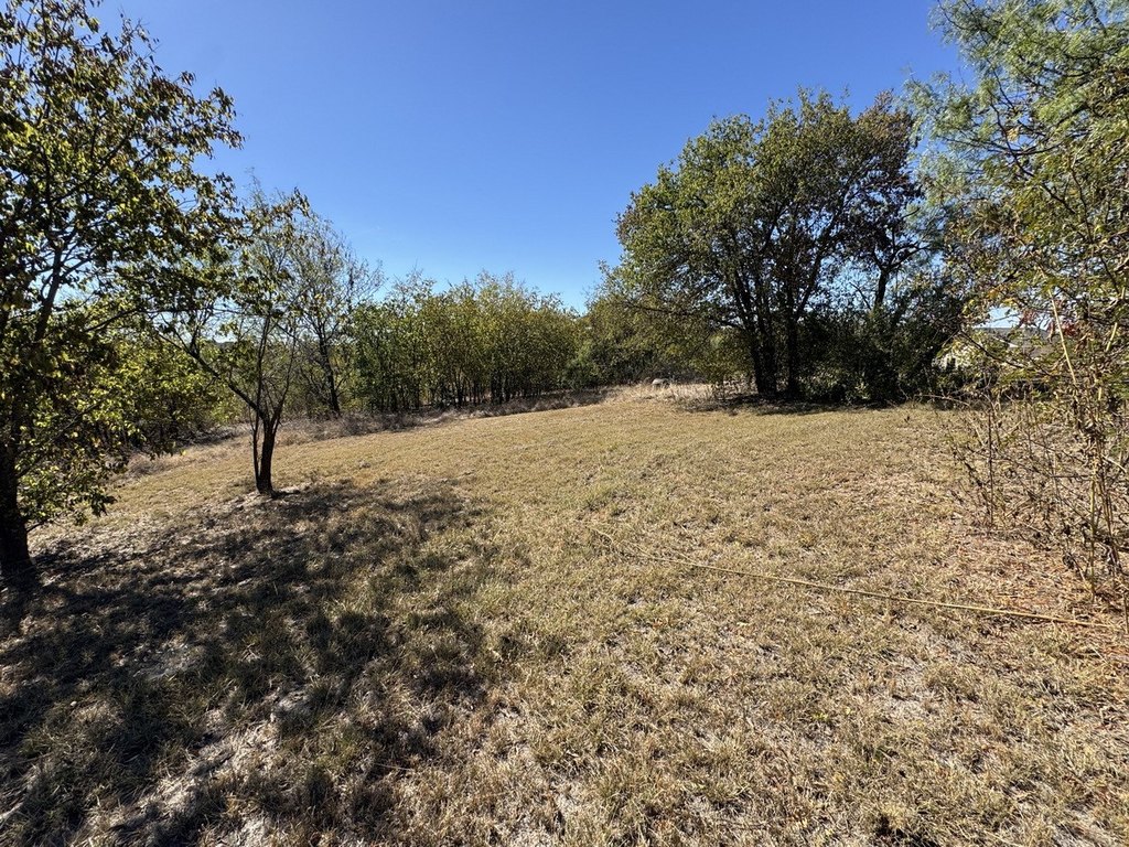 Picture 29