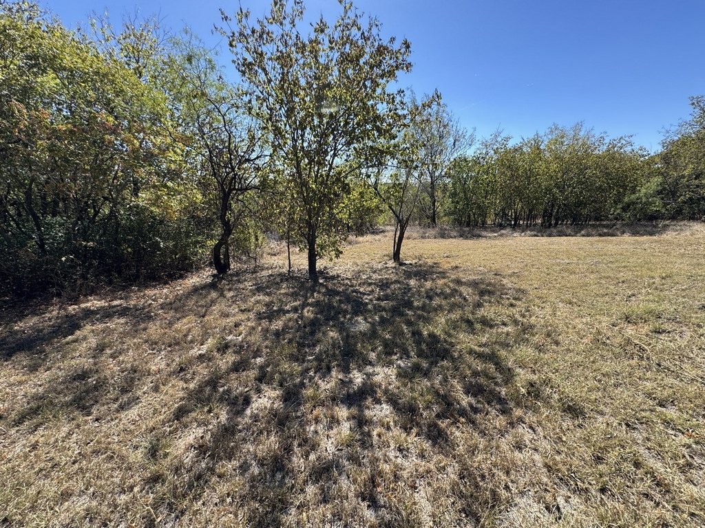 Picture 28