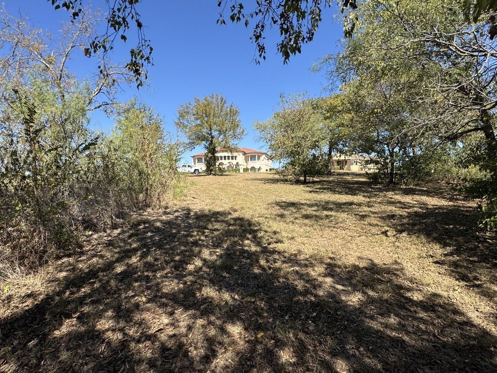 Picture 37