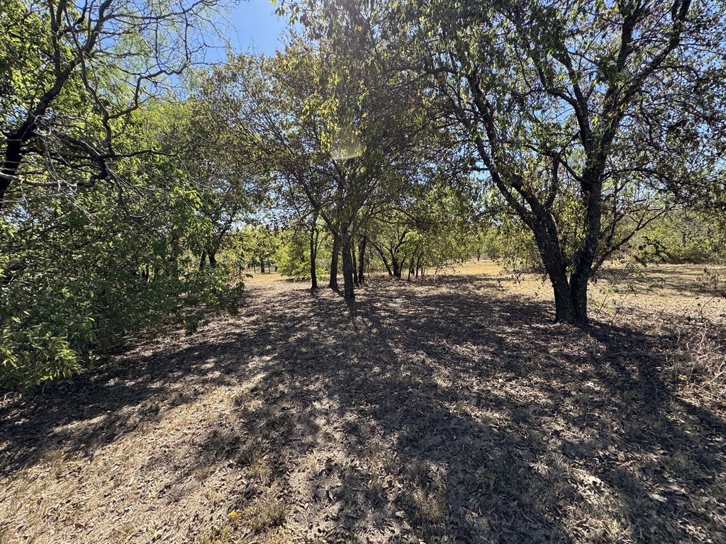 Picture 22