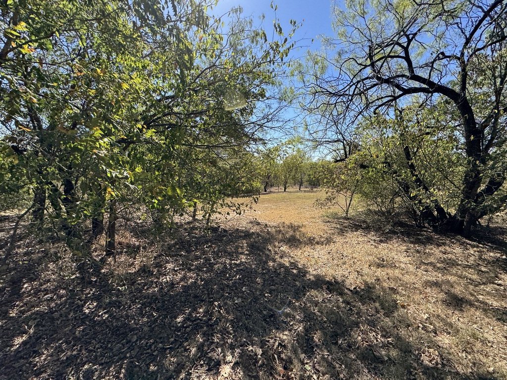 Picture 24
