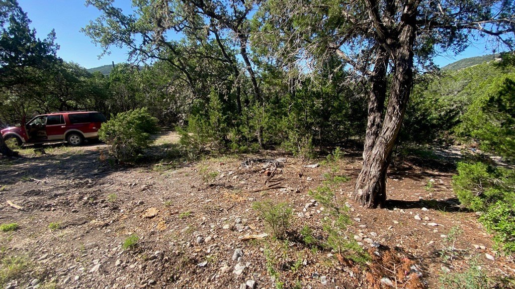 Picture 14