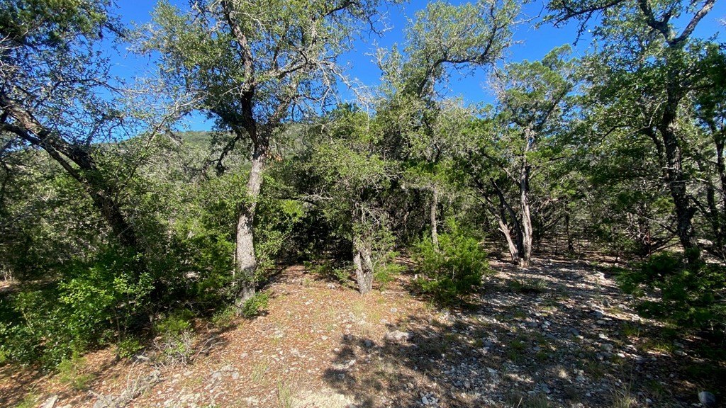 Picture 11