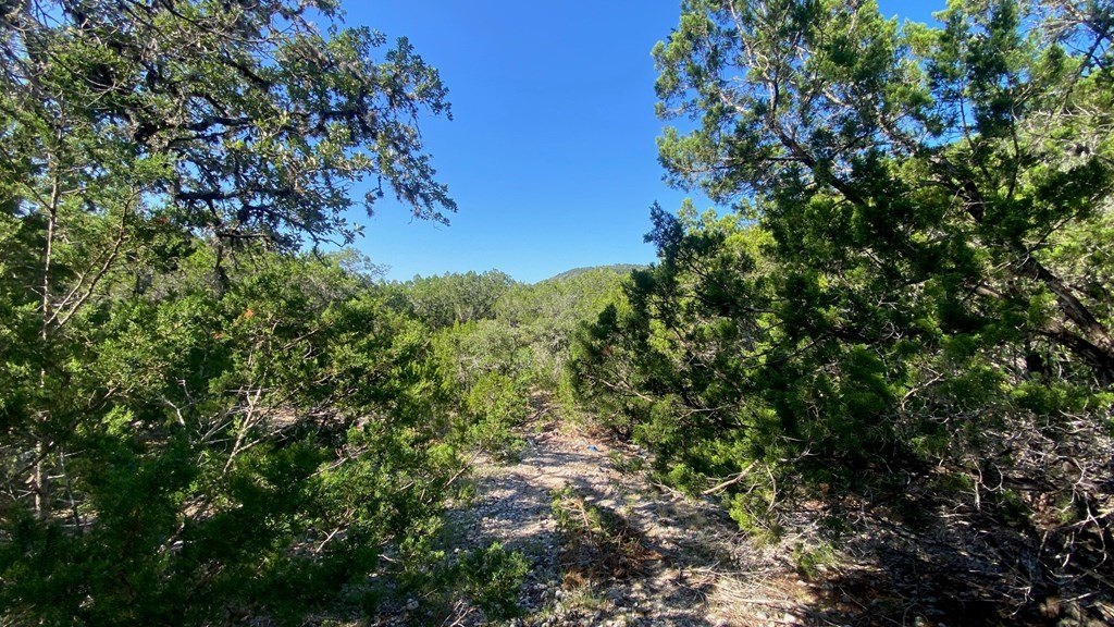 Picture 15