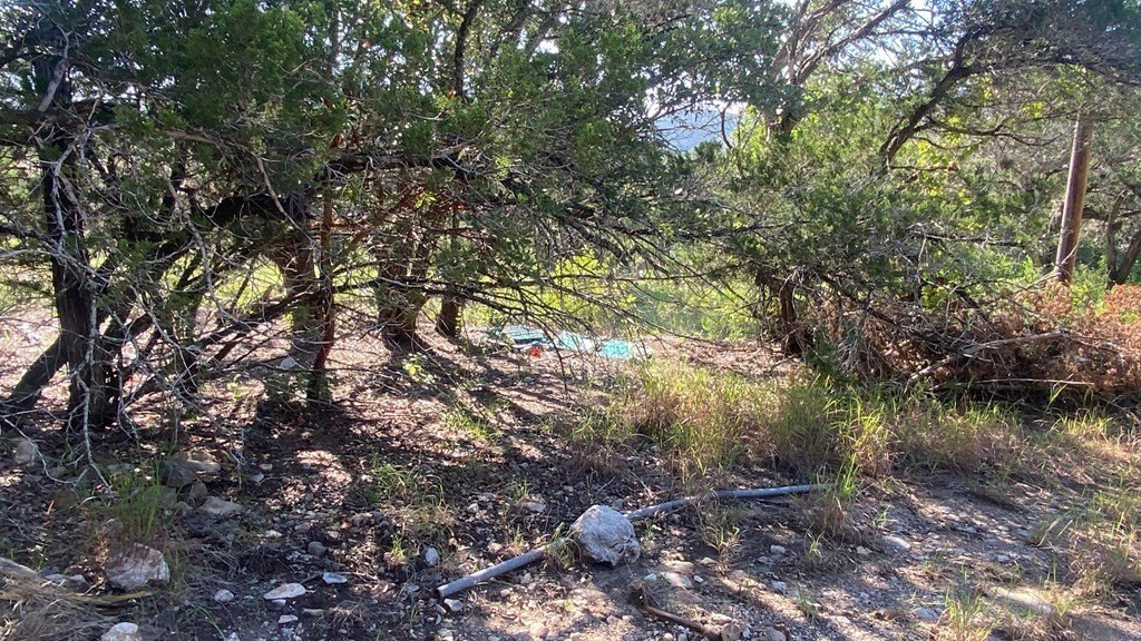 Picture 16
