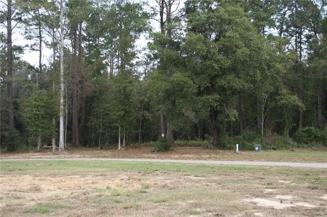 Picture 27