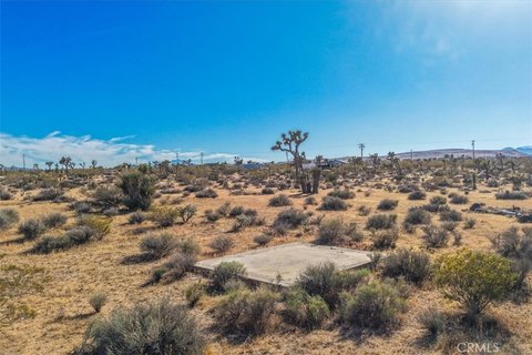 Yucca Valley Desert Land Parcel