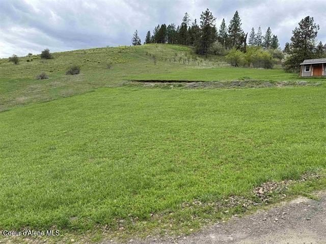 Picture 46