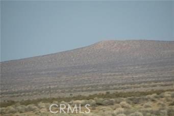 Newberry Springs Land For Sale