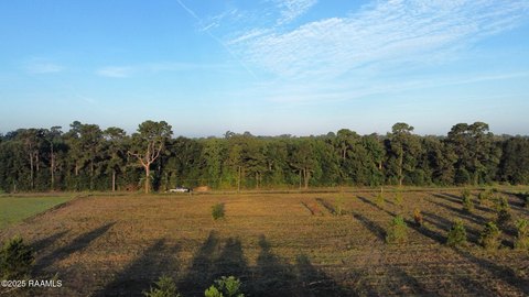 Basile, LA - 3 Acre Lot