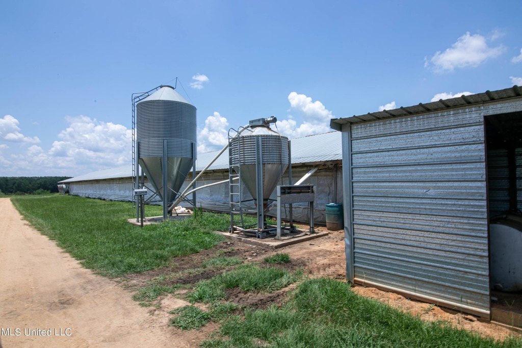 Picture 6