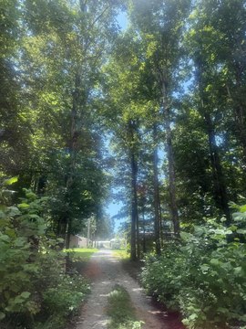 LAND - Lafe, AR