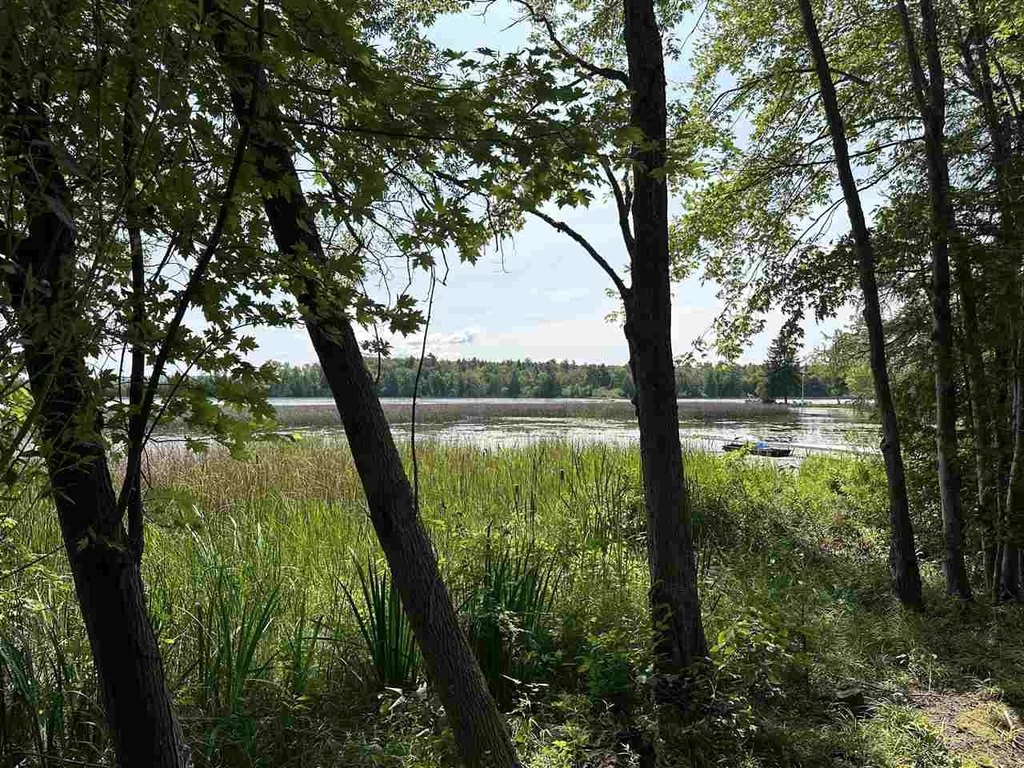 Picture 19
