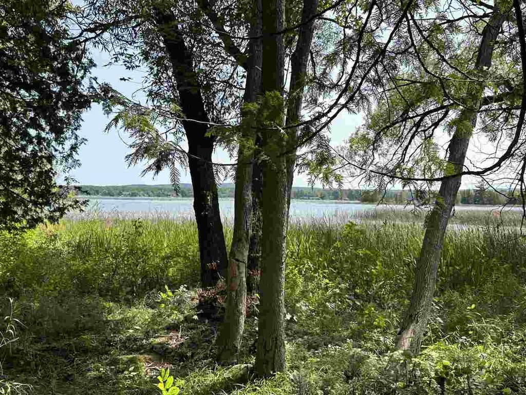 Picture 20