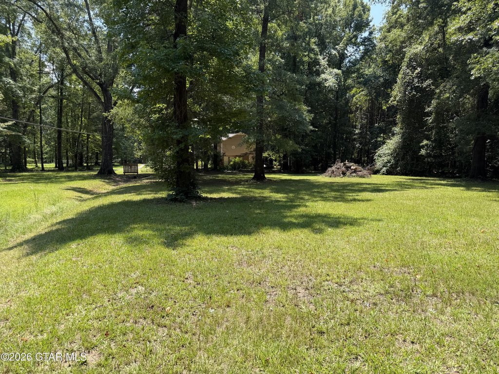 Picture 4