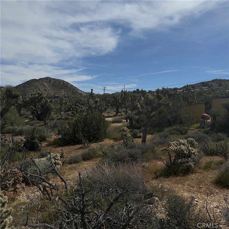 Picture 6