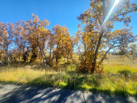 Kolob, UT Mountain View Lot