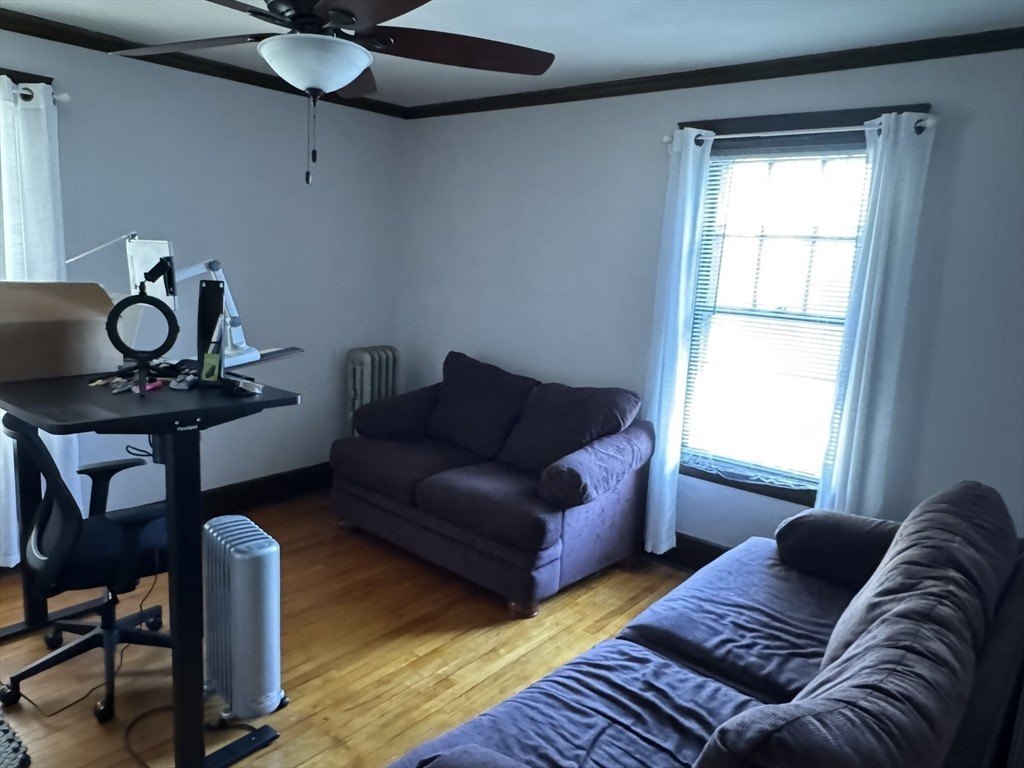 Picture 12