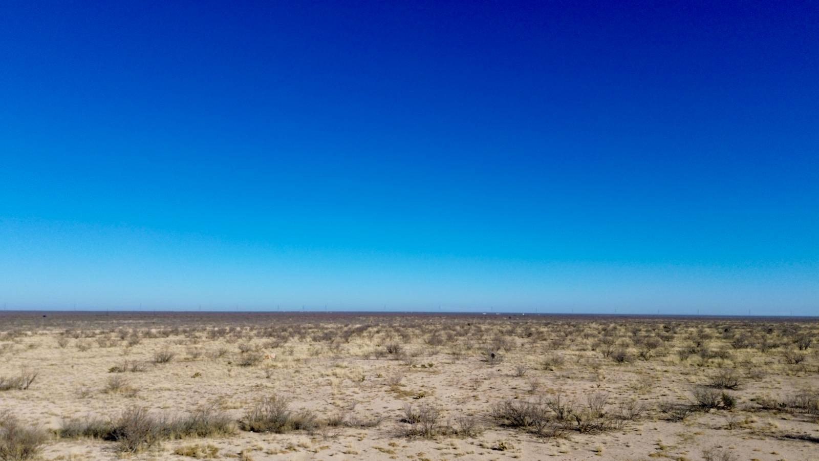 40 Acres West Texas Land