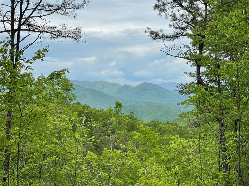 Land with Mountain Views