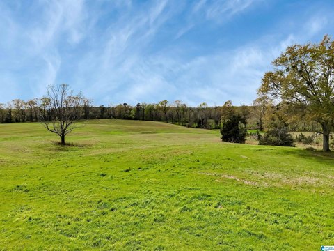 28.81 Acres Ready for Home