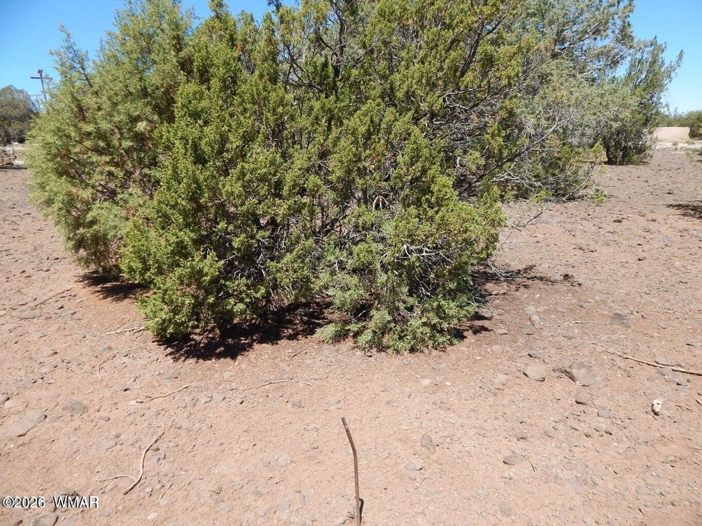 Picture 5